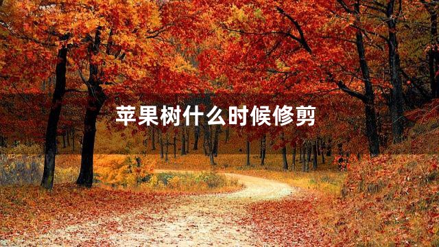 苹果树什么时候修剪