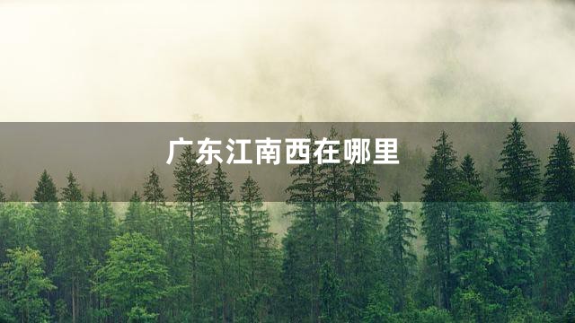 广东江南西在哪里