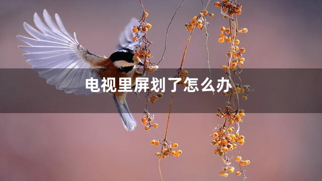 电视里屏划了怎么办