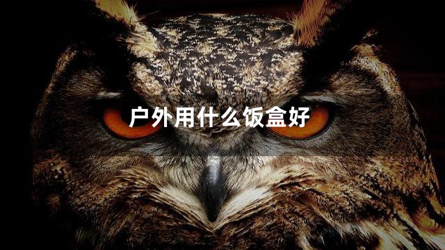 户外用什么饭盒好