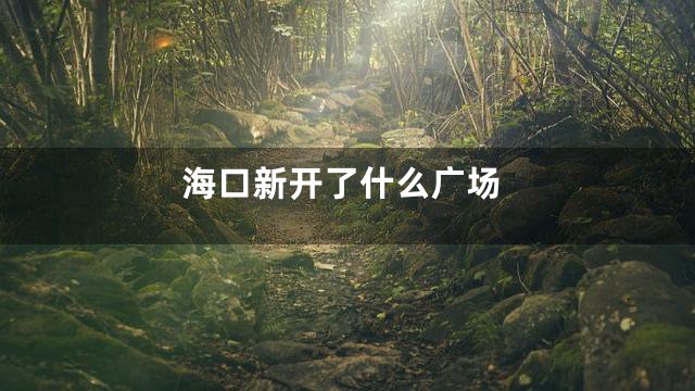 海口新开了什么广场