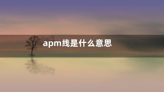 apm线是什么意思