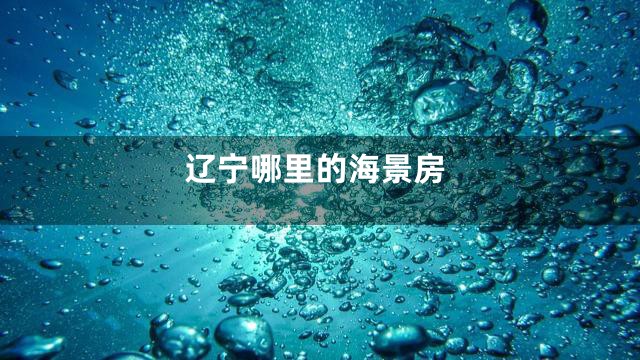 辽宁哪里的海景房