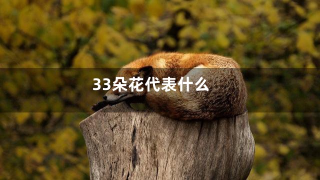 33朵花代表什么