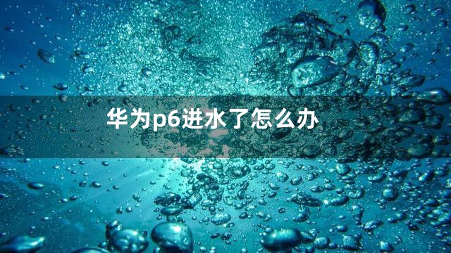 华为p6进水了怎么办