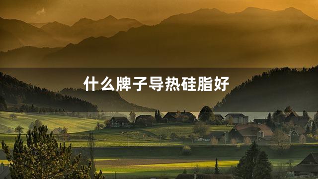 什么牌子导热硅脂好