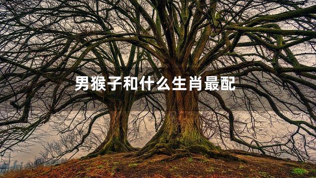 男猴子和什么生肖最配