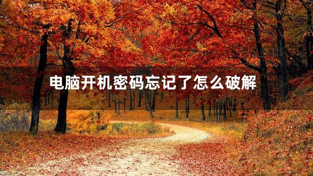电脑开机密码忘记了怎么破解