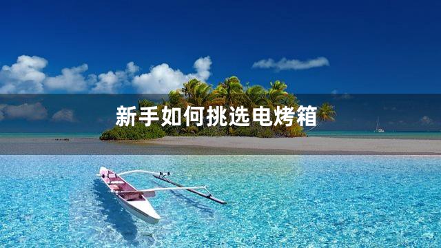 新手如何挑选电烤箱