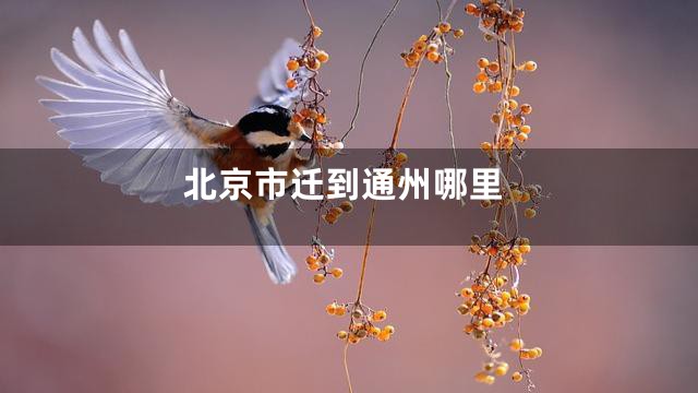 北京市迁到通州哪里