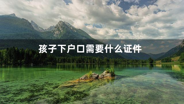 孩子下户口需要什么证件