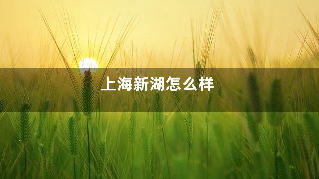 上海新湖怎么样