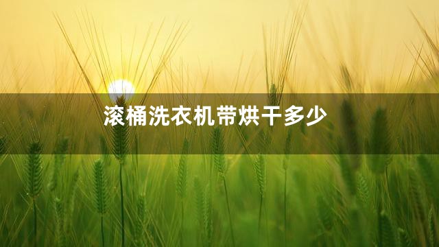 滚桶洗衣机带烘干多少