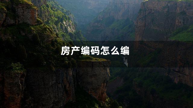 房产编码怎么编