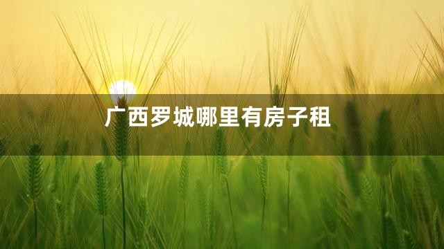 广西罗城哪里有房子租