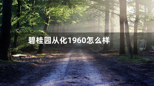 碧桂园从化1960怎么样