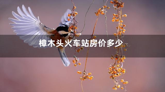 樟木头火车站房价多少