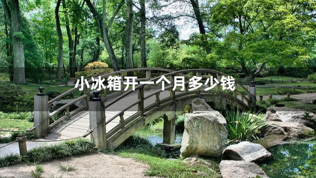 小冰箱开一个月多少钱