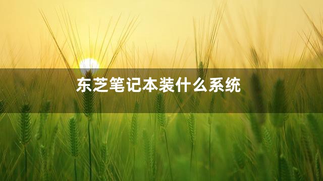 东芝笔记本装什么系统