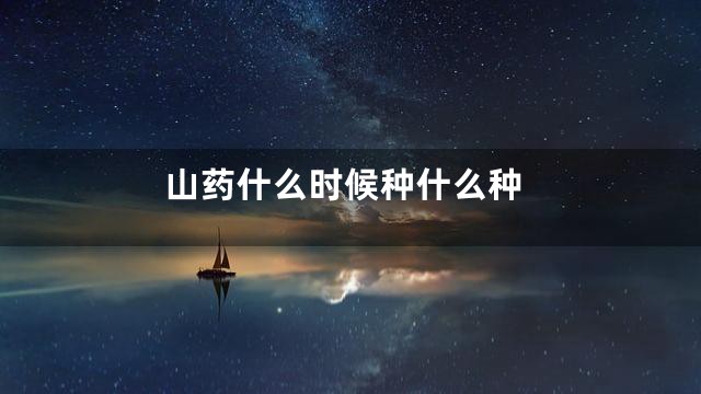山药什么时候种什么种
