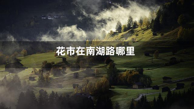 花市在南湖路哪里