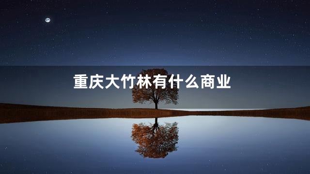 重庆大竹林有什么商业