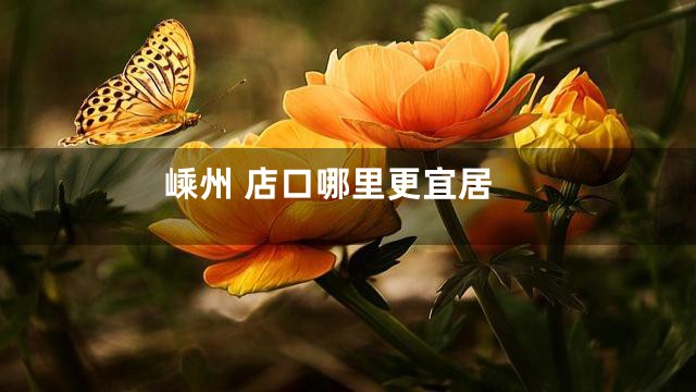 嵊州 店口哪里更宜居