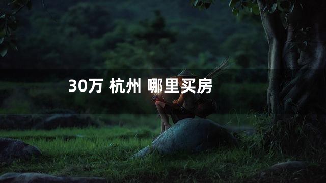 30万 杭州 哪里买房