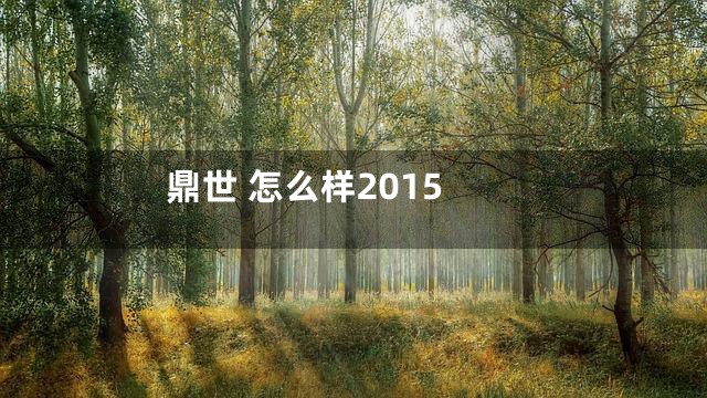 鼎世 怎么样2015