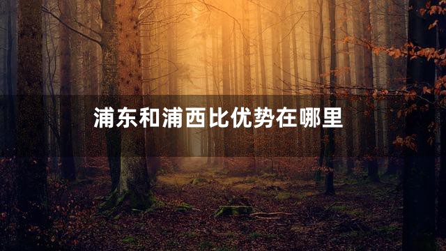 浦东和浦西比优势在哪里