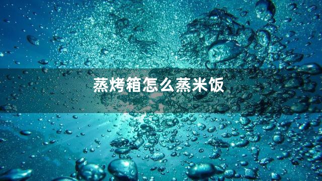 蒸烤箱怎么蒸米饭