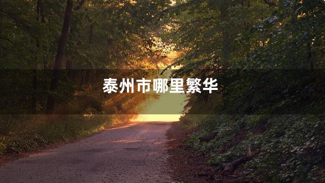 泰州市哪里繁华