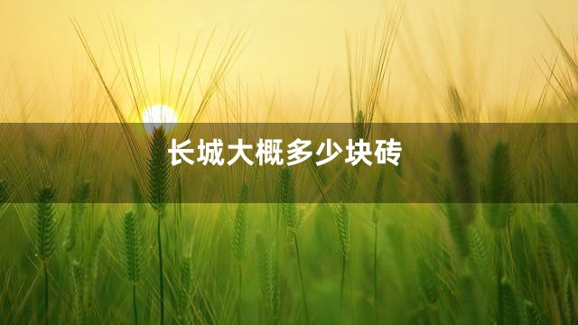 长城大概多少块砖