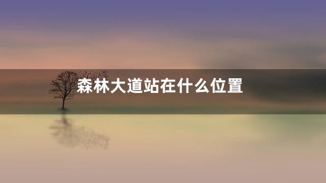 森林大道站在什么位置