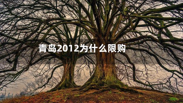 青岛2012为什么限购