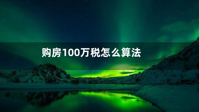 购房100万税怎么算法