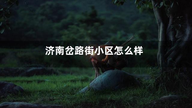 济南岔路街小区怎么样