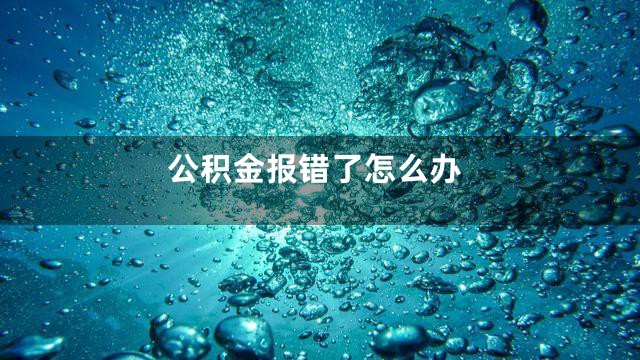 公积金报错了怎么办