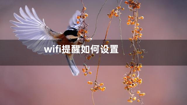 wifi提醒如何设置