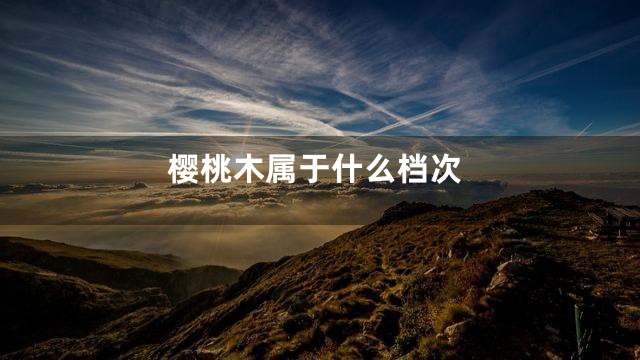 樱桃木属于什么档次