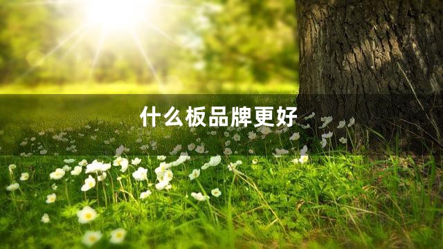 什么板品牌更好