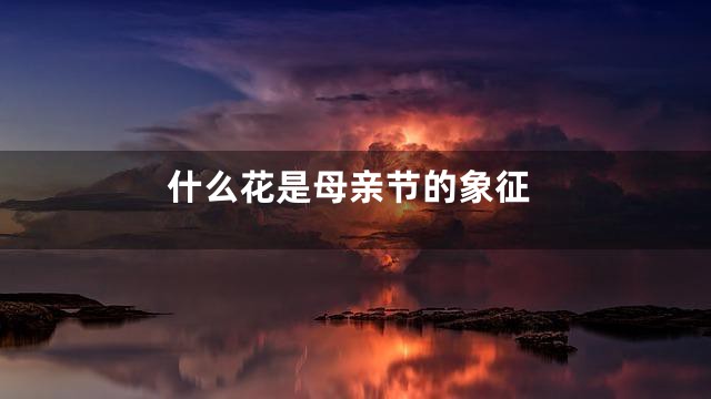 什么花是母亲节的象征
