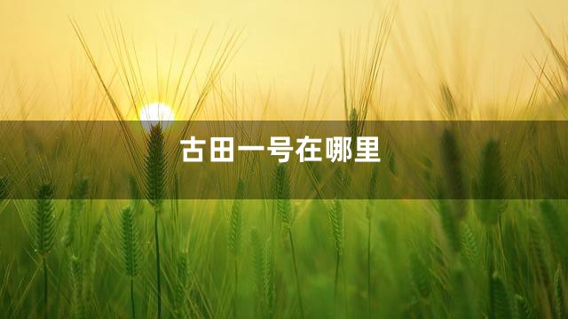 古田一号在哪里