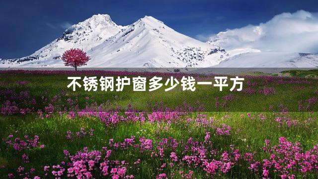 不锈钢护窗多少钱一平方