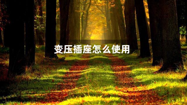 变压插座怎么使用