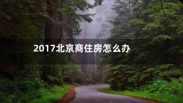 2017北京商住房怎么办