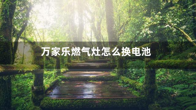 万家乐燃气灶怎么换电池