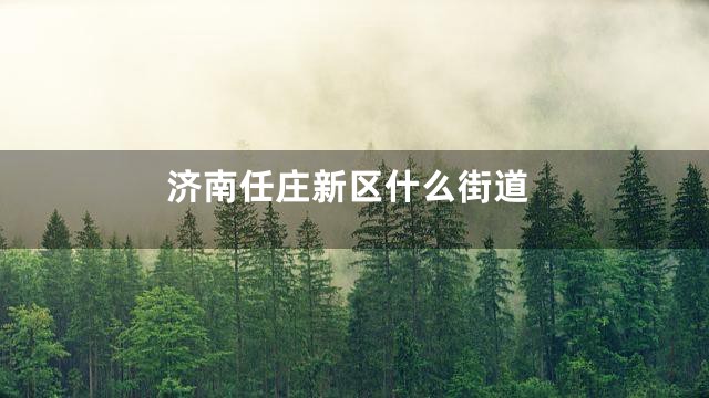 济南任庄新区什么街道