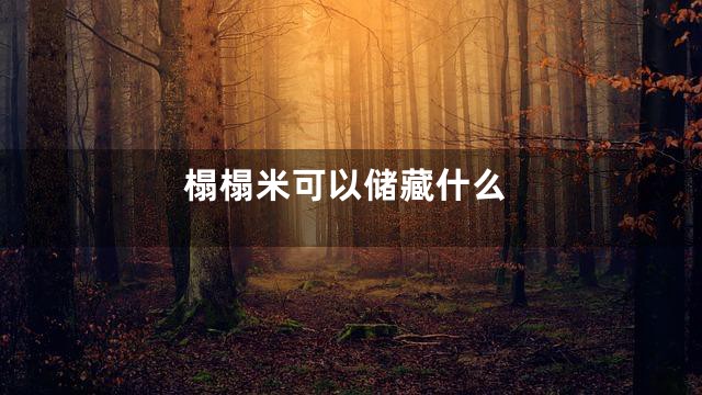 榻榻米可以储藏什么