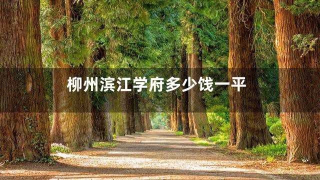 柳州滨江学府多少饯一平